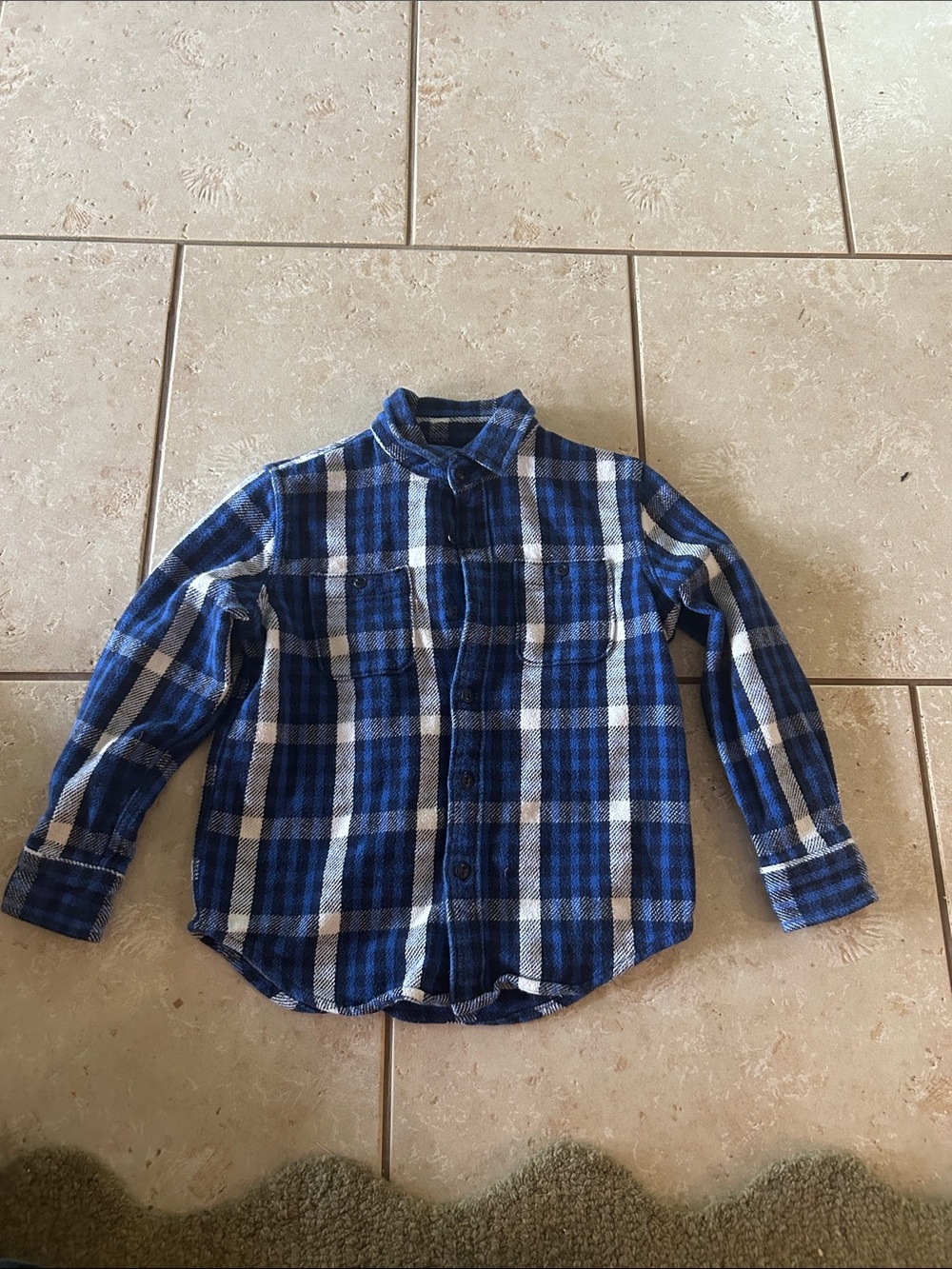 GAP Blue and White Plaid Button-Down Shirt